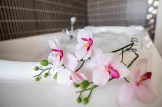 Alojamientos Callejón del Pozo, cerca Puy du Fou - 8