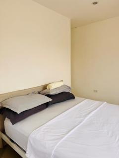 White House jason - 5