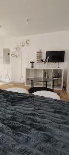 Charming studio with terrace in Roubaix - 8