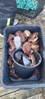 Cottage in Hellesøy, Øygarden - 9