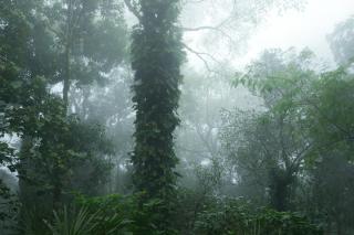 Hillscape Resort - 3