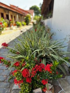 Hotel Campina - 5