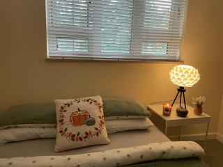 Spacious 3 Bedroom Flat in Central London - 0