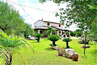 Giardino degli ulivi - 0