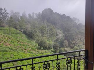 Habba Kadal Kashmiri Heritage Hotel & Hub - 7