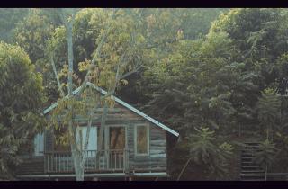 Peaceful Stream Homestay - 7