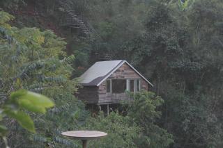 Peaceful Stream Homestay - 5