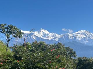 Hotel Pristine Himalaya - 9