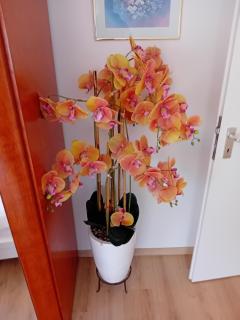 Hristian apartment - 3