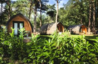 Landgoed 't Wildryck - 6