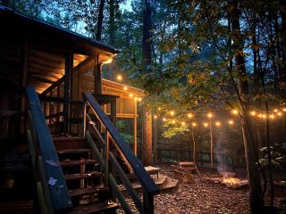 Hot Tub Fire Pit Grill Sleeping Porch & More - 9