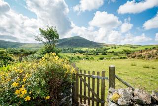 Pwll-Y-March - 7