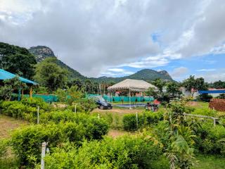 Jungle buru eco camp - 5