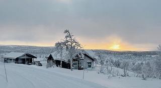 Modern Cabin With Views Of Langsua National Park - 6