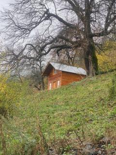 Towers Inn Cottage - 8