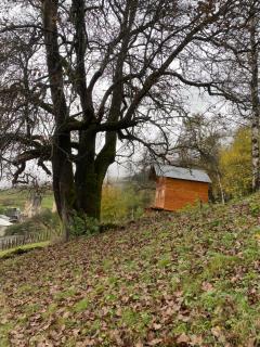 Towers Inn Cottage - 9