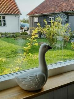 Modern Guest House Near The Sea In Brösarp - 3