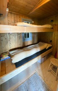 Mountain Cabin With Views Over Juvatn - 4