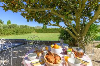 Mas de la Treille les Baux de Provence - 1