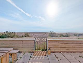 Sea Urchin and Shepherds Hut on the Beach - 9