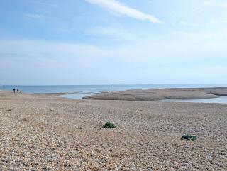 Sea Urchin and Shepherds Hut on the Beach - 6