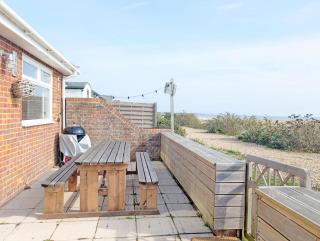 Sea Urchin - Pagham - Sea Front - 1