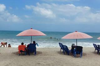 Hostel casa jungla - 1