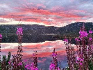 10 person holiday home in ÅSERAL - 6
