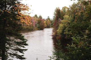 Idyllic Cabin Rental near the Au Sable River in Michigan - 6