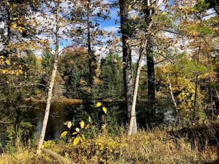 Idyllic Cabin Rental near the Au Sable River in Michigan - 5