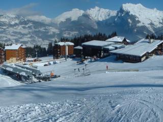 Grand duplex 3 chambres au pied des pistes, parking inclus - FR-1-642-20 - 1
