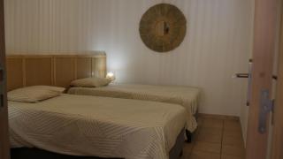 Luciole des Alpilles - 4