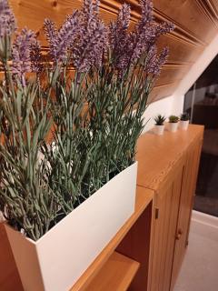 Eulenburg am Reuthsee Nurdachhaus mit Garten - 8