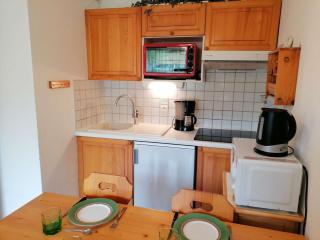 Appt cozy 5 pers, 300m pistes, parking, animaux admis - FR-1-241-164 - 2