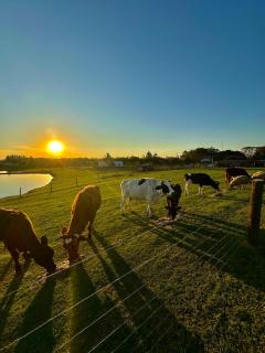 Casa de Ferro 287 Aconchego e Praticidade - 1