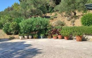 Nice Apartment In Palit - 3