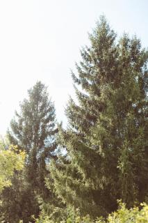 Retro mobilehome Fanfare Woltzdal - 2