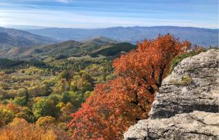 Amazing Apartment In Caprese Michelangelo - 4