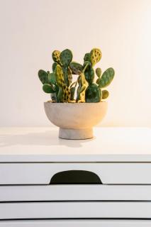 Studio in Campo de Ourique - 6