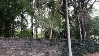 Hotel Pousada Oasis Park - 1