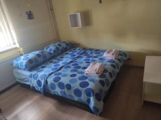 Centar Apartman Trivanović sa jednom sobom - 0