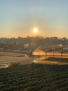 Ri's Garden Homestay - Nhà gỗ bên sườn đồi - 3