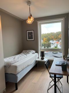 Modern apartment with perfect location - 3