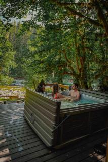 NWPADS-Verlot River Cabin - Hot Tub-Firepit-Beach - Granite Falls - 9