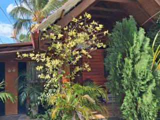 Dot's bey beach cabanas - 3