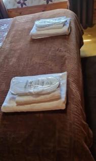 Cabaña Casa Victoria con Bosque,Río & Starlink Internet - 3