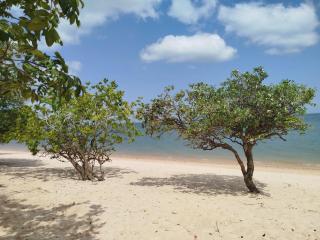 Casa Brisa do Tapajós - 0