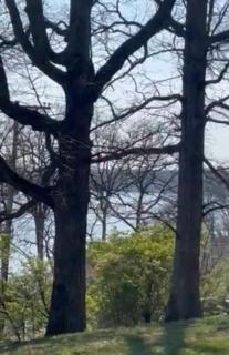 Amazing Lake Home in Heart of Lake of the Ozarks! - 1