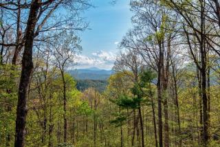 Chestnut Lodge - 1