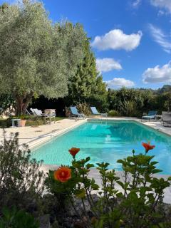 Charming Villa, Sunroof, big pool & olive trees - 8